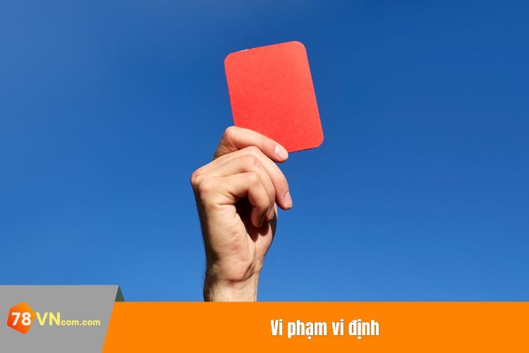 Vi phạm vi định