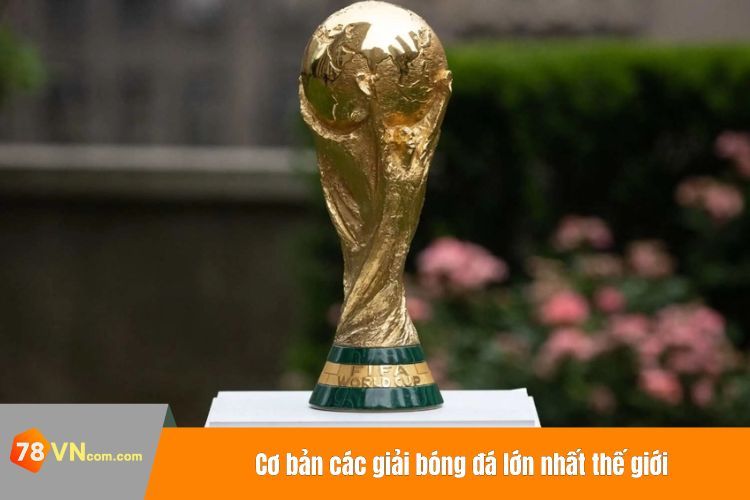 Cơ bản các giải bóng đá lớn nhất thế giới