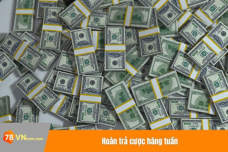 Hoàn trả cược hàng tuần
