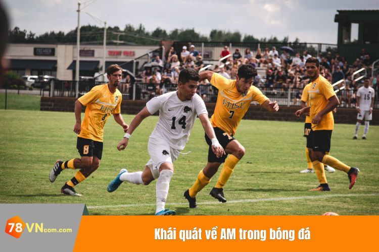 Khái quát về AM trong bóng đá
