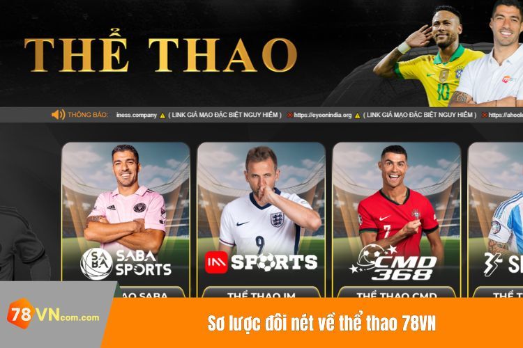 Sơ lược đôi nét về thể thao 78VN